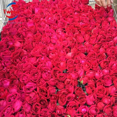 1000-2000kg Herbs Dryer Flower Dehydrator Rose Clove Drying Machine
