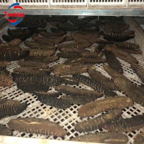 Seafood Drying Machine Fish Processing Vacuum Dryer Spray Drier Freeze Dehydrators