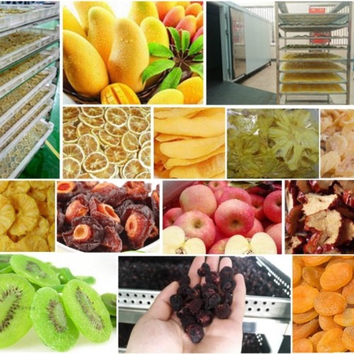 1500kg Commercial Apricots Dryer Apple Banana Dehydrate Machine Industrial Fruit Dehydrator for Sale