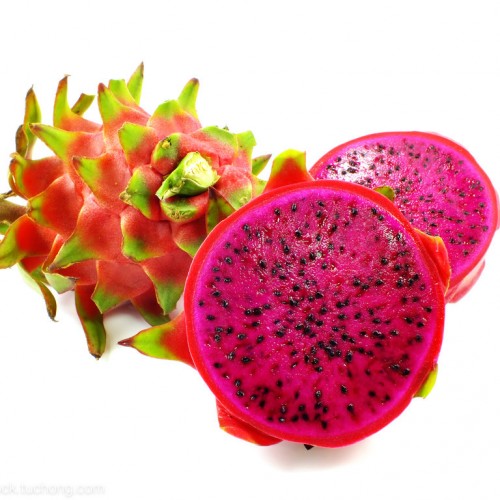 Fruit and vegetable food dehydrator dragon fruit Dryer 192 trey fruit dehydrator for Grapes