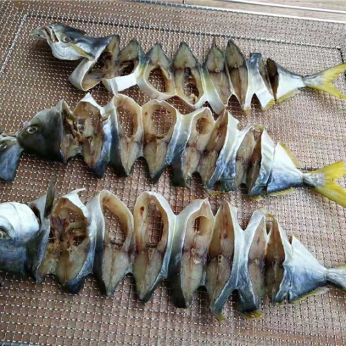 Fish Dehydrator Oven Machine  Commercial Fish Dehydrator Machine Dehydrator for Fish