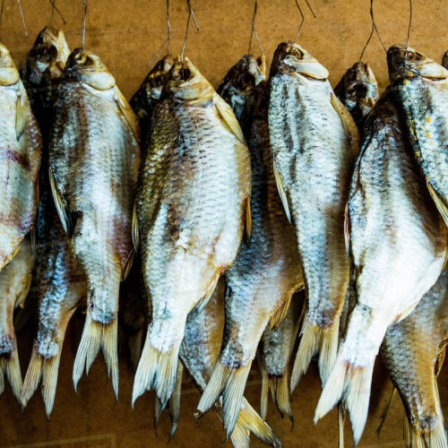 Multifunctional Seafood Dryer Industrial Food Fish Dehydrator 700kg Fish Dehydrators in philippines