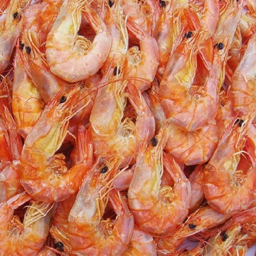 China Economical Fish Drying Machine 1000kg Commercial Fish Shrimp Dehydrator